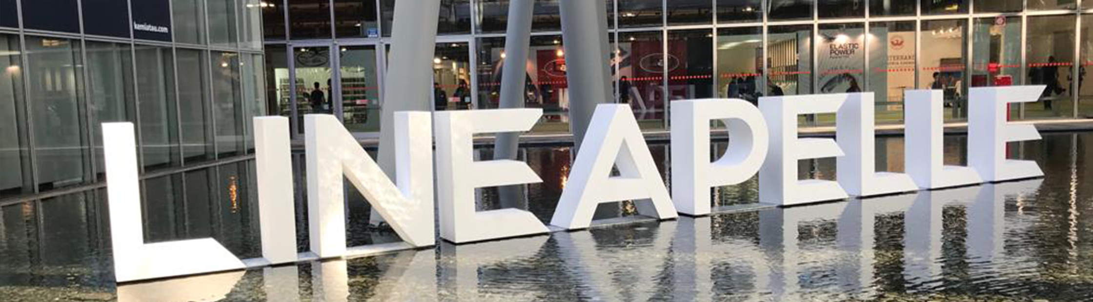 environmental sustainability